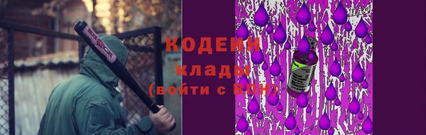 дурь Арсеньев