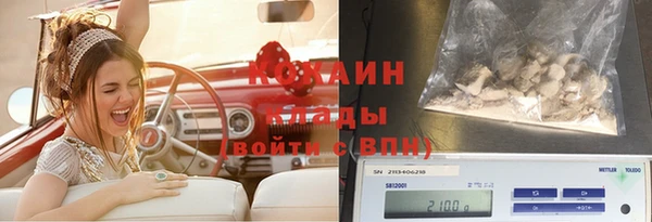 дурь Арсеньев