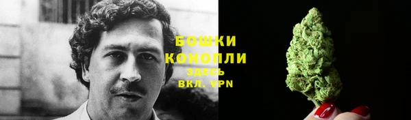 дурь Арсеньев