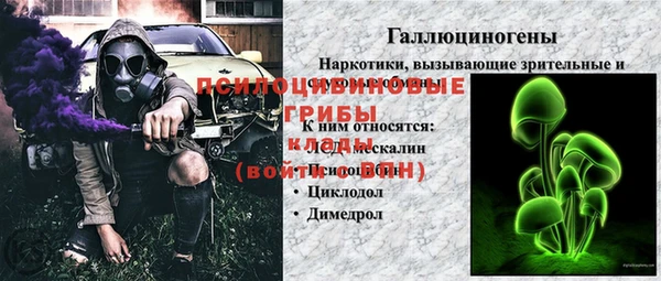 дурь Арсеньев