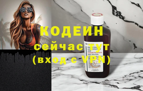 индика Армянск