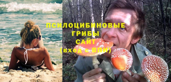 индика Армянск